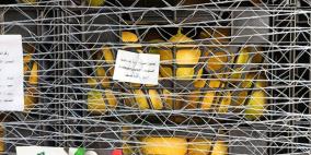 سليمية يعلن إنجاز الاعتماد الرسمي للمنتجات الفلسطينية في السوق السعودي