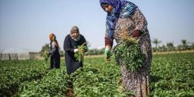 في عيد العمال العالمي: "المرأة العاملة" تطالب بحماية النساء الفلسطينيات من الإبادة الاقتصادية وانتهاكات الاحتلال