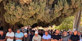 65 ألفا يؤدون الجمعة في المسجد الأقصى (فيديو وصور)
