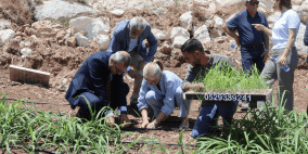 "البونيكام" يدخل فلسطين كمحصول واعد لدعم مربي الثروة الحيوانية