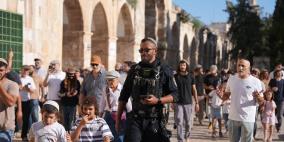 في أكبر اقتحام منذ أشهر: 3228 مستوطنا يقتحمون المسجد الأقصى
