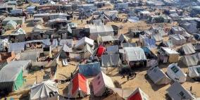 خاص | حرب القوارض والأوبئة تلاحق نازحي غزة وسط تفاقم الكارثة