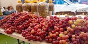خاص | مهرجان العنب في طولكرم يجمع منتجات متنوعة من عدة محافظات