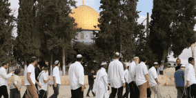 عشرات المستوطنين يقتحمون المسجد الأقصى