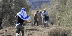 المغير محاصرة بـ 11 بؤرة.. وموسم الزيتون تحت مقصلة الاحتلال والاستيطان