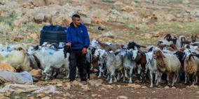 خاص | تحذيرات من استغلال حادثة الأغنام لتبرير اقتحامات المغير