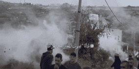 مستوطنون يستولون على مركبة ويسرقون زيتون ومعدات زراعية في عين يبرود