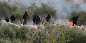 خاص | كيف يحاول المزارعون الفلسطينيون إنقاذ موسم الزيتون؟