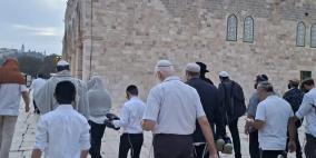 مستوطنون يقتحمون المسجد الأقصى