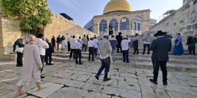 عشرات المستوطنين يقتحمون المسجد الأقصى