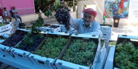 55 ألف طن عنب فلسطيني سنويا 