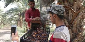 نفط مدينة القمر 