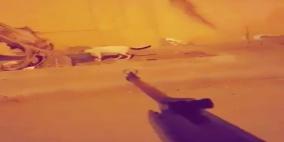 السجن والغرامة لسفاح القطط في جدة