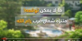 ما لم يمكن توقعه.. مشتل مخدرات داخل متنزه حفلات برام الله