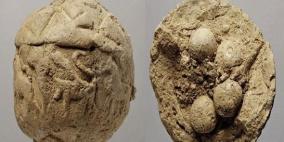 علماء يعثرون على عقد زواج يبلغ 4000 عام في تركيا