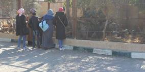 عشرات الإصابات باطلاق الاحتلال قنابل الغاز على حديقة حيوانات قلقيلية