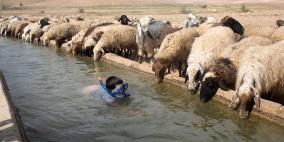 الطقس: موجة الحر تبلغ ذروتها 