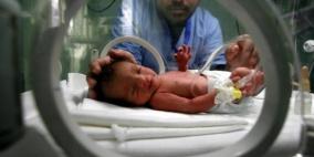 مولود كل 10 دقائق في غزة خلال أكتوبر