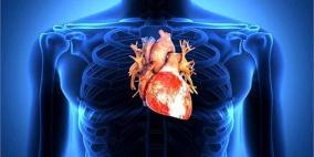 علماء يبتكرون قلبًا بشريًا من قلب فأر