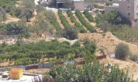 خاص | أوامر عسكرية جديدة تستهدف أراضي زراعية في بيت أمر