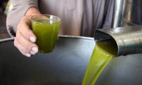 خاص| الزيت الخفيف أم الثقيل؟ مجلس الزيتون الفلسطيني يحسم الجدل ويكشف الأفضل للصحة