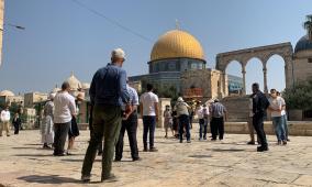 110 مستوطنين يقتحمون المسجد الأقصى