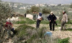 مستوطنون يهاجمون مواطنين في مجدل بني فاضل جنوب نابلس