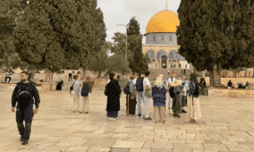 1059 مستوطنًا اقتحموا المسجد الأقصى خلال أسبوع