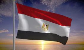 مصر تعلن اعتزامها التدخل دعما لدعوى جنوب أفريقيا ضد إسرائيل أمام محكمة العدل الدولية