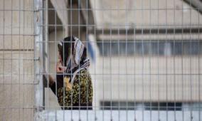 ارتفاع عدد المعتقلات إداريا في سجون الاحتلال إلى 25