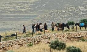 مستوطنون يجبرون المواطنين على مغادرة أراضيهم في فرخة