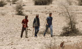 مستوطنون يجرفون أراضي في سالم شرق نابلس
