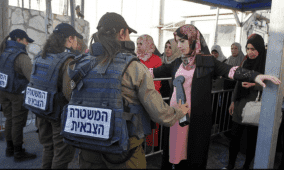 اليوم الوطني للمرأة الفلسطينية: تداعيات العدوان وتحديات الحماية والتمكين