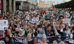 مظاهرات منتظرة اليوم بإيطاليا ورجال القانون يوجهون نداء من أجل غزة