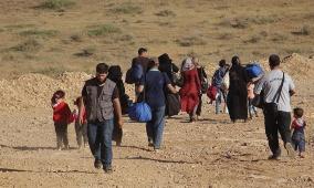 مستوطنون يجبرون 33 عائلة على الرحيل من تجمع شلال العوجا شمال أريحا