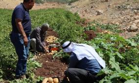 خاص| الإغاثة الزراعية تكرّس جهودها لدعم المزارعين في الأغوار والمناطق المهددة