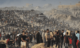 خاص | غزة تحتضر والجوع لم يعد تحذيرا بل واقعا مرعبا