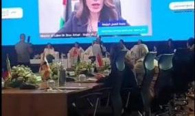 العطاري تطالب بتوفير رؤية عربية مشتركة للتشغيل لبناء سياسات تنموية فعالة