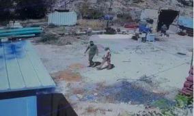 مجددا.. مستوطنون يقتحمون آبار "عين سامية" في القدس