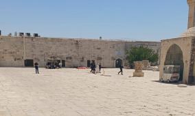 الاحتلال يعتقل مفتي القدس من المسجد الأقصى