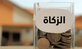 خاص | "أمان" يوصي بإنشاء صندوق زكاة مستقل لتعزيز الفاعلية