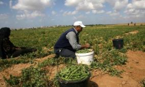 الصناعةُ الخضراءُ: مدخلٌ للعدالةِ البيئيةِ في فلسطين