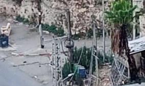 الاحتلال يعتقل شابين من نابلس