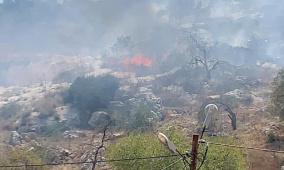 مستوطنون يحرقون 3 خيام في مسافر يطا جنوب الخليل