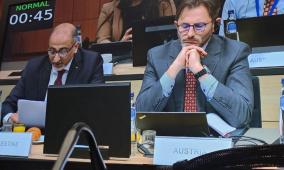 دولة فلسطين في أعمال الحوار العربي الأوروبي في بروكسل