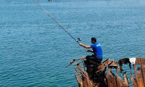 نقيب الصيادين لراية: الاحتلال يسعى لإعدام قطاع الصيد في غزة بالكامل.. وخسائر تجاوزت 75 مليون دولار