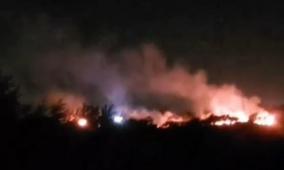 مستوطنون يحرقون أشجار زيتون في مجدل بني فاضل جنوب نابلس