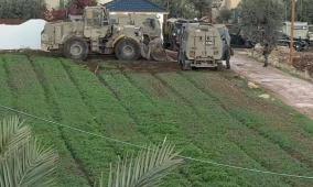 الأسعد: الاحتلال يعزل محافظة طوباس عن باقي محافظات الضفة الغربية