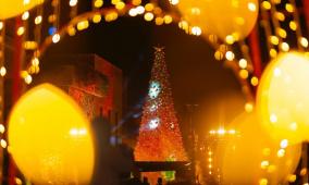 أطفال من غزة والضفة والداخل يضيئون شجرة الميلاد في روابي