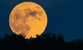 السماء تستقبل مساء الخميس "القمر البارد".. آخر قمر عملاق لـ2025